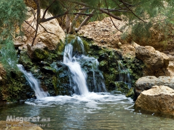 בנחל עין בוקק