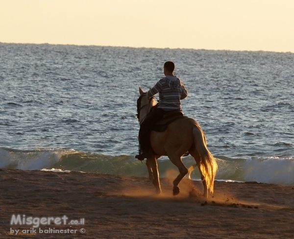דוהר לשקיעה