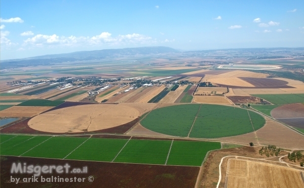 שניים עיגולים בשדה