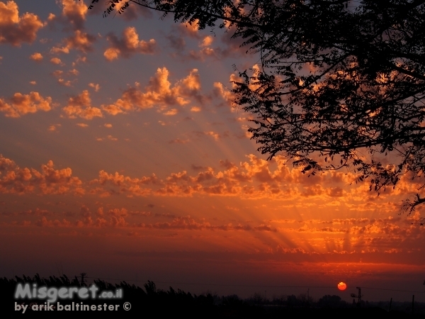 שקיעה בשרון