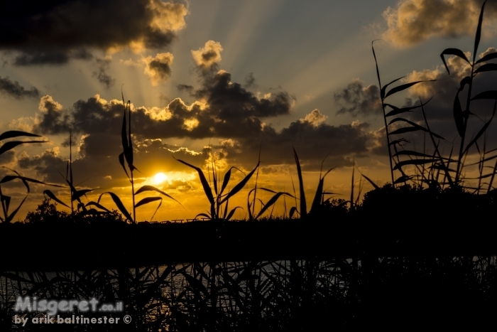 קרניים אחרונות