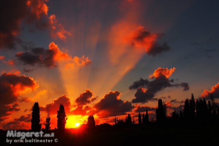 קרניים של תקווה 02