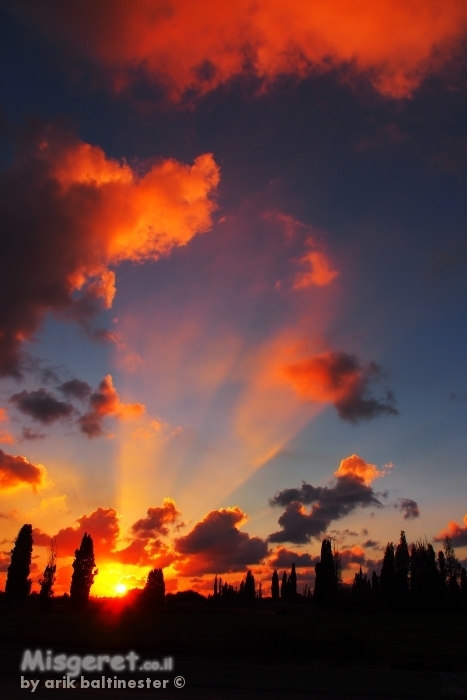 קרניים של תקווה