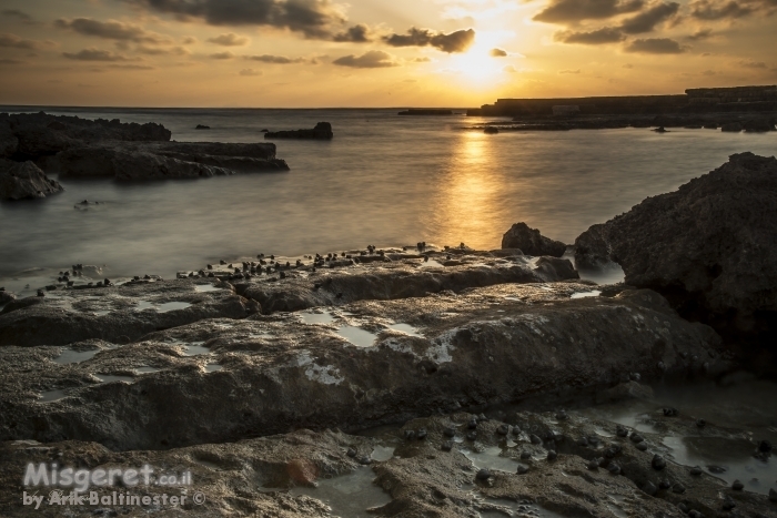 צופים בשקיעה