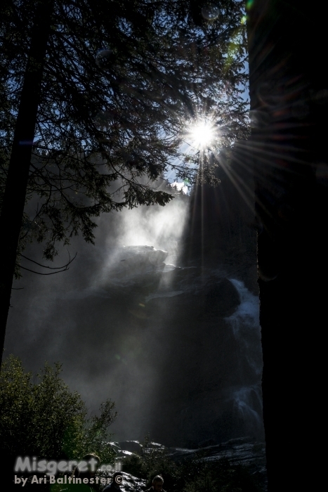 אור ומים ביער