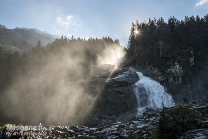 בין חושך לאור