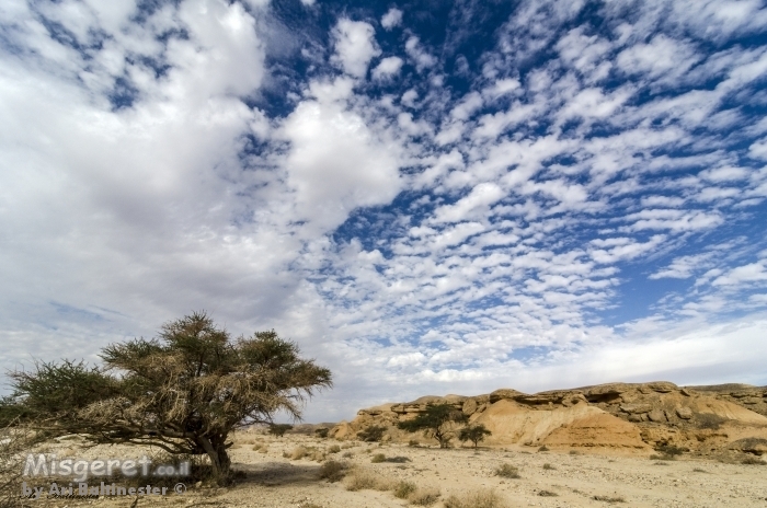 כמו ציור בשמיים