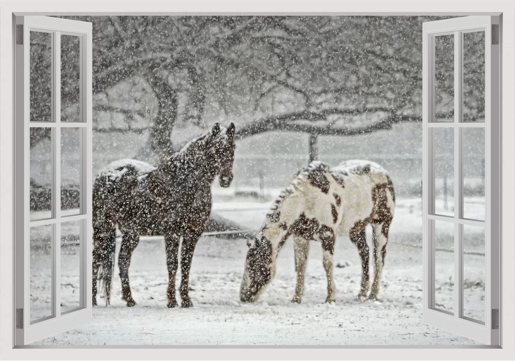 סוסים בשלג - Artpicked Windows - תמונות לחדרי ילדים  - מק''ט: 337127