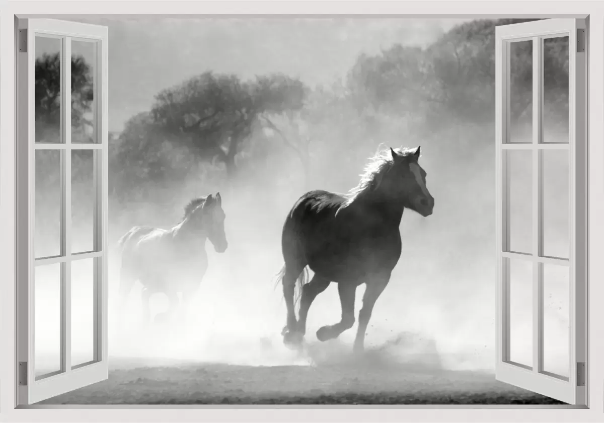 סוסים דוהרים - Artpicked Windows - תמונות לחדר שינה נוער תמונות שחור לבן  - מק''ט: 337372