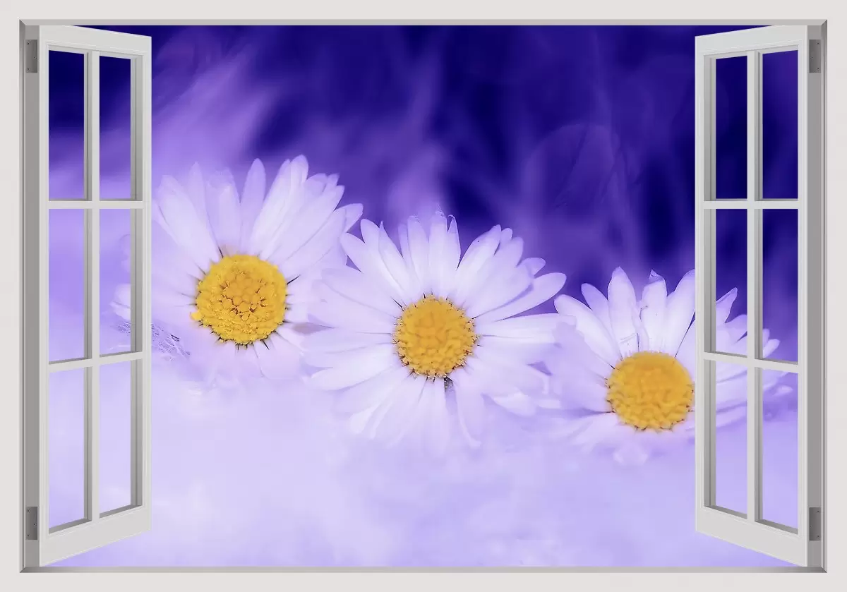 פרחים על רקע סגול - Artpicked Windows -  - מק''ט: 337402