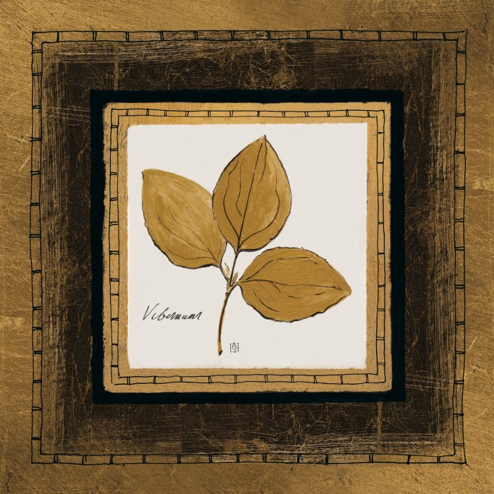 דקורטיבי בריבוע II