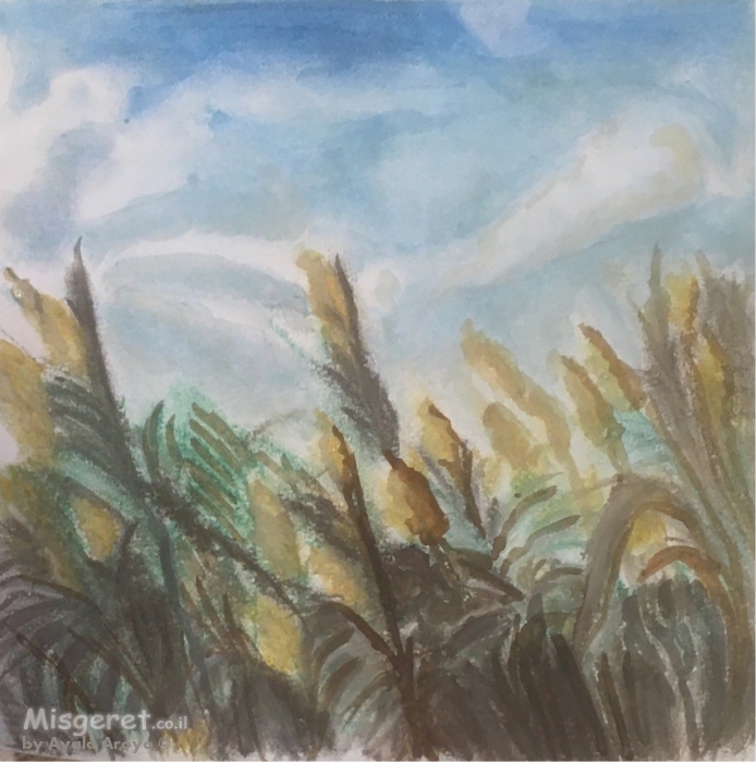 רוח בקני סוף