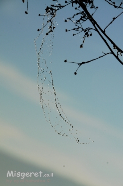ערסל קורים מול שמיים