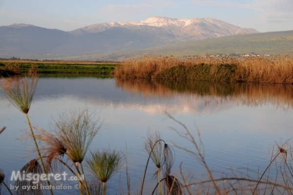 אגמון מול חרמון
