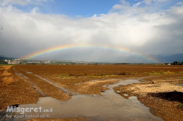 קשת על פני האדמה