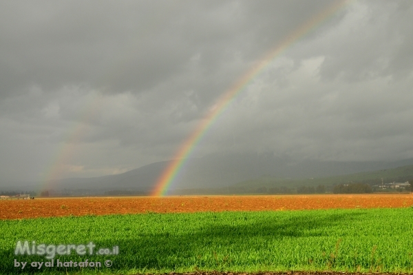 קשת בשדה ירוק