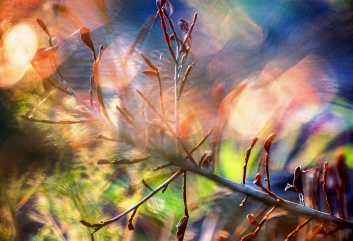 אורות רוקדים