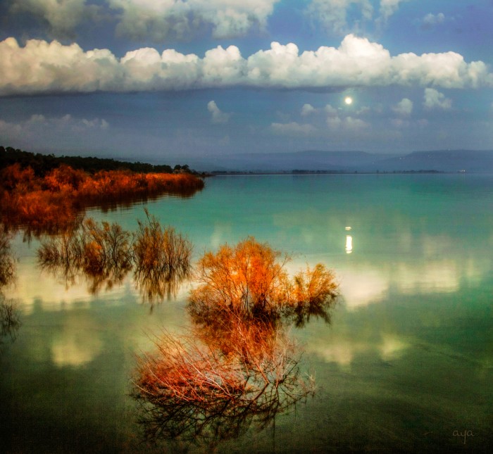 כנרת תורכיז וירח