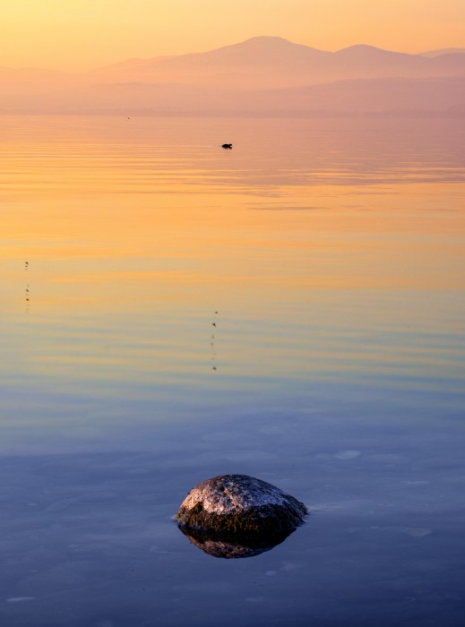 קורמרן ואבן