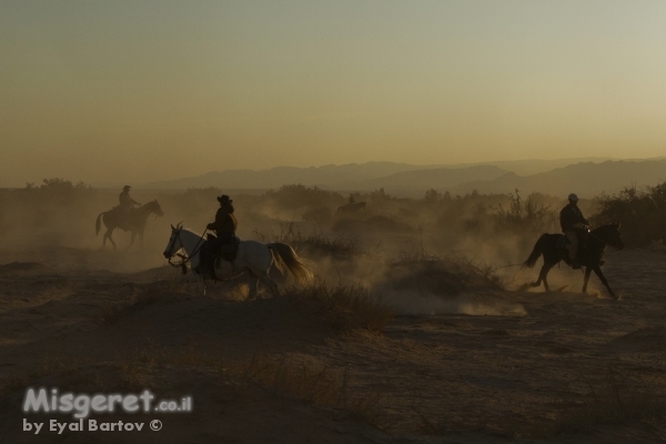 מעגל רוכבים