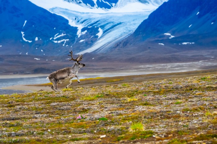 אייל סבלברד