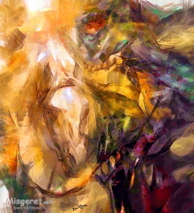 הרוכבת המסתורית