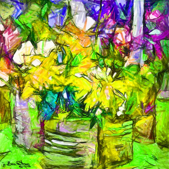 עוצמת פרחים