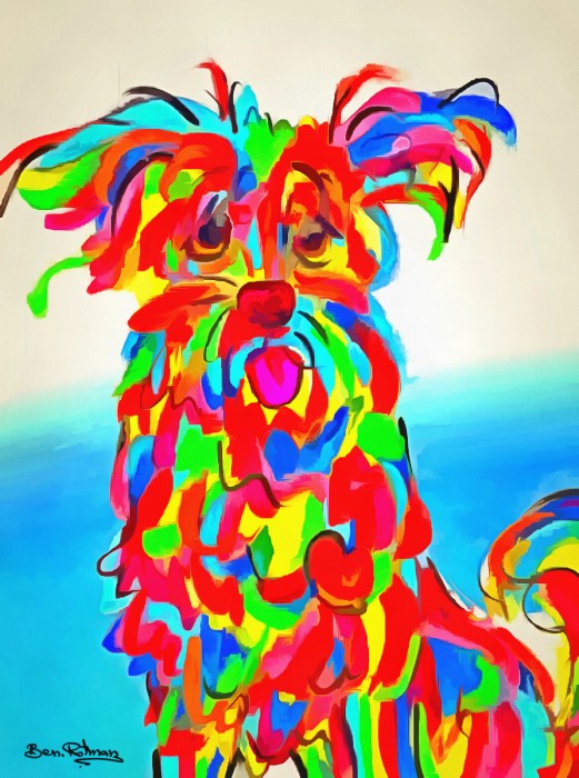 כלב שאוהב צבעים
