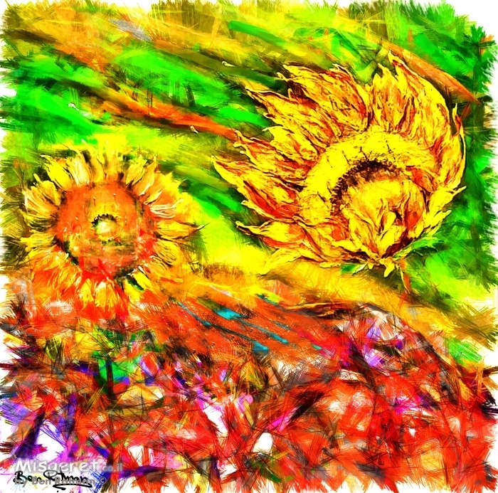 רוחות וחמניות