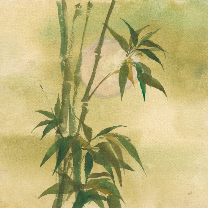 ליל ירח אביבי