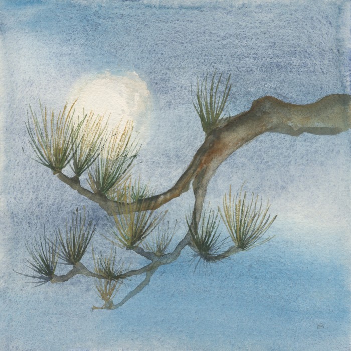 ליל ירח חורפי