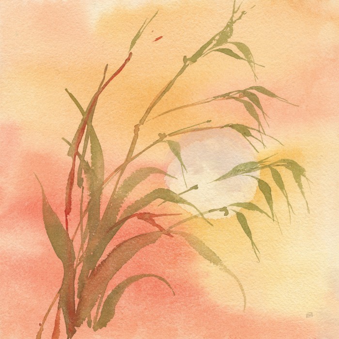 ליל ירח סתווי