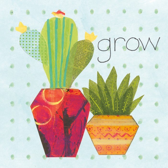 קקטוס ולגדול