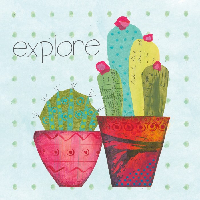 קקטוס ולחקור