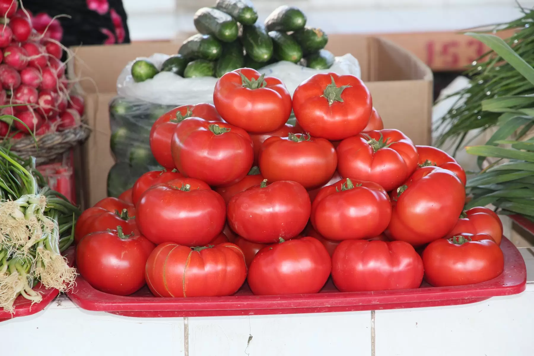 עגבניות במרכז - דן ששתיאל -  - מק''ט: 259106