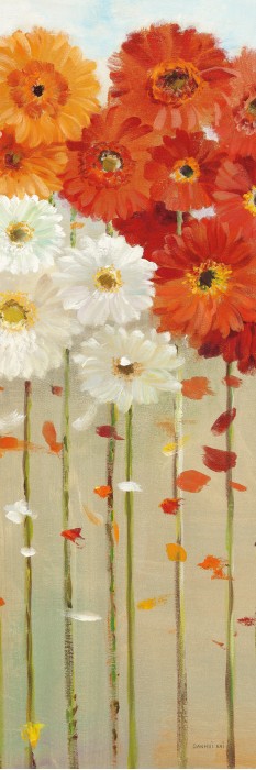 שלל חרציות בגווני שלכת