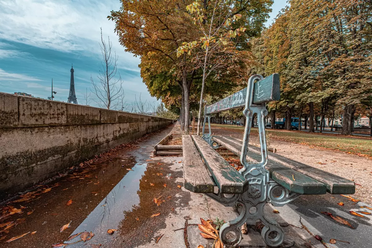ספסל פריזאי בודד - דקל בר - טבע דומם בצילום  - מק''ט: 418094