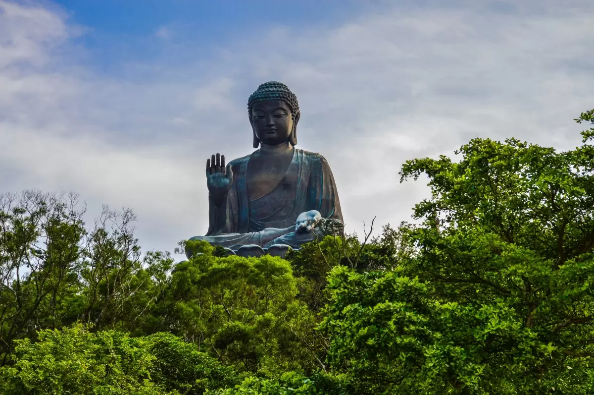 בודהה על הר - דקל בר -  - מק''ט: 418175