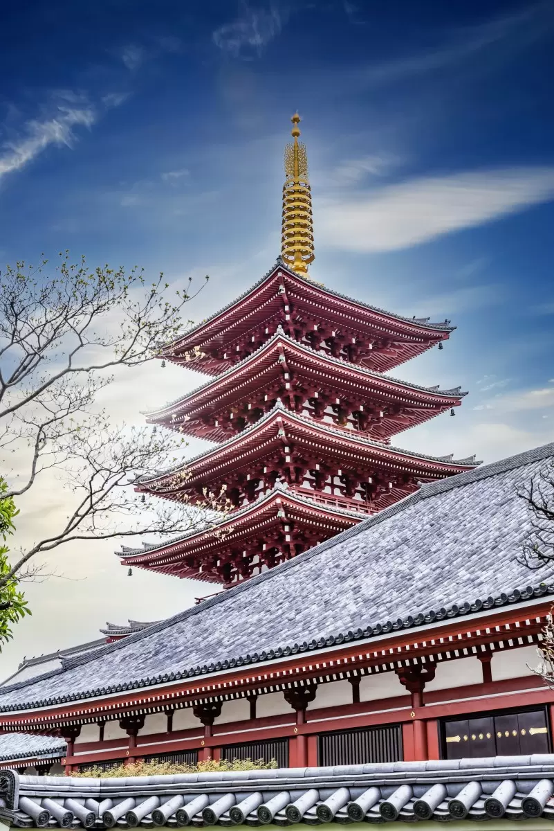 מקדש יפני בטוקיו - דקל בר -  - מק''ט: 442633
