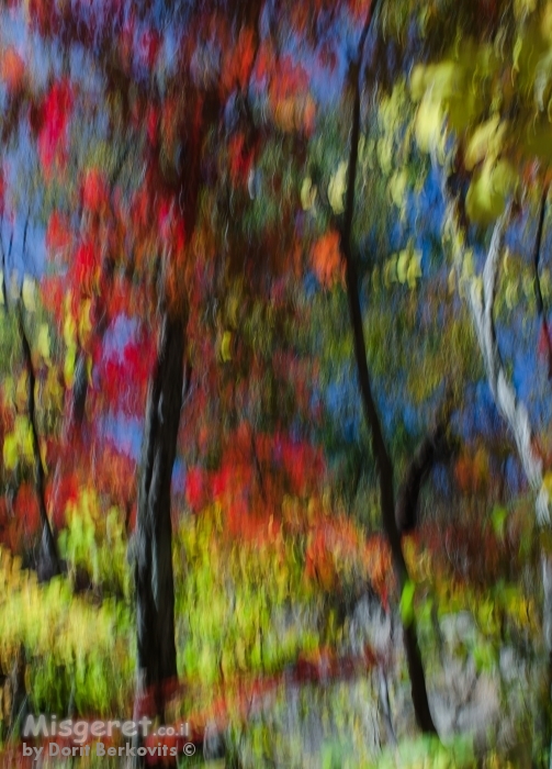 עלים נופלים