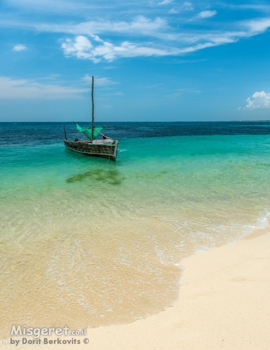 רוגע על המים