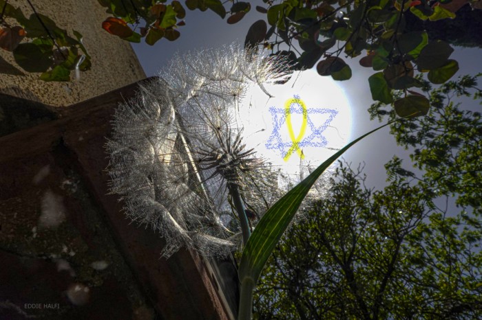 התקווה