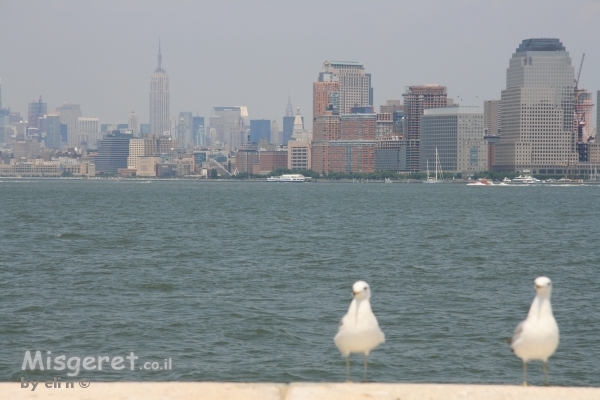 שני ציפורים