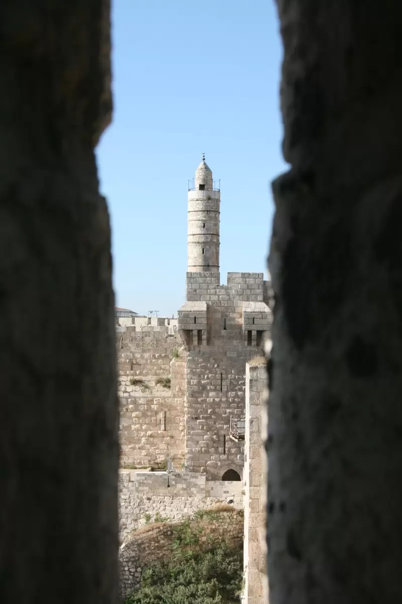 מגדל דוד 1 - אלי נגר -  - מק''ט: 49521