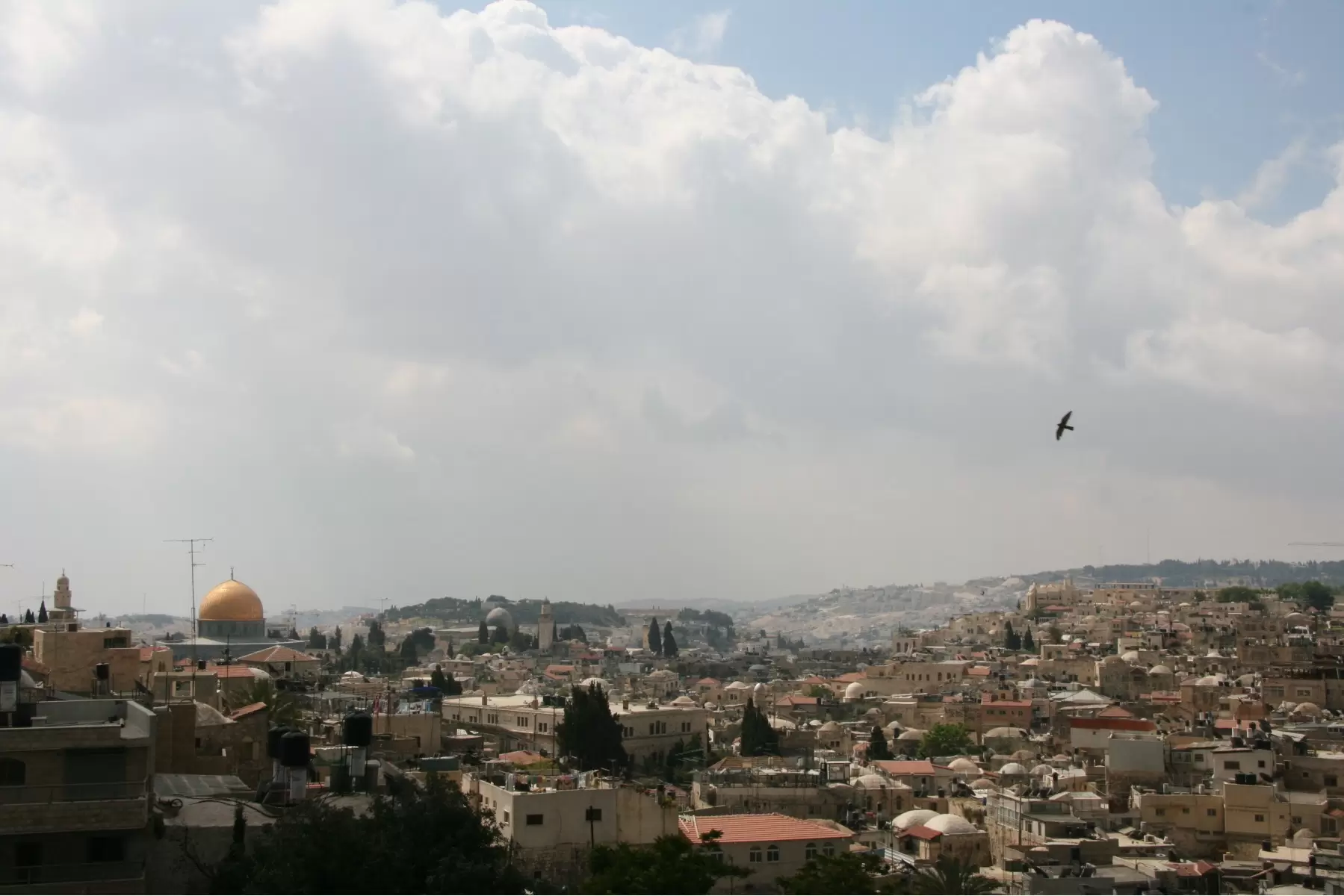 ירושלים - אלי נגר -  - מק''ט: 50442