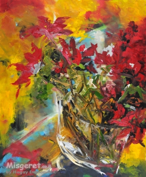 שקוף - כלניות