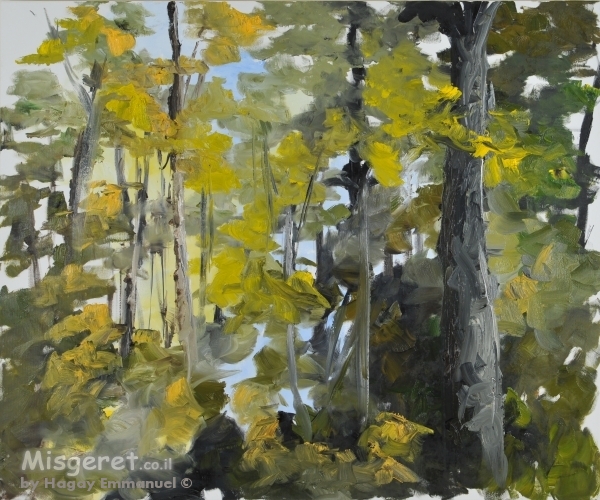 היער הירוק תמיד...