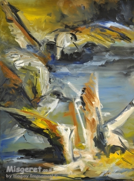 שחפים במרינה הרצליה