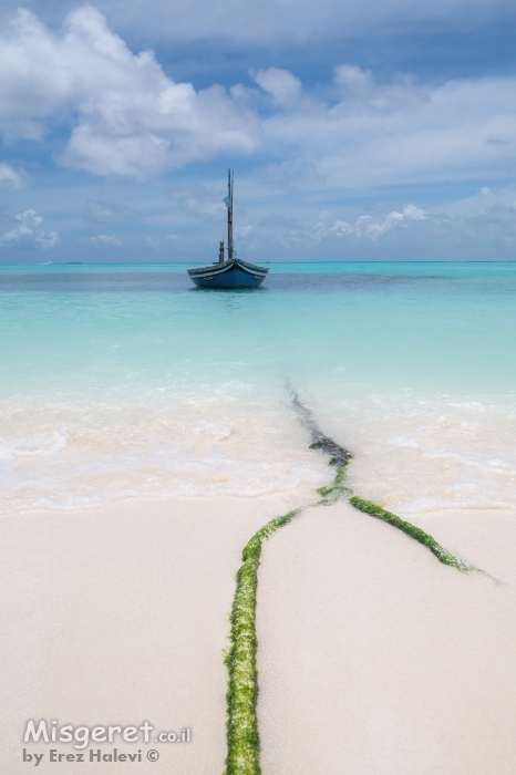 The Boat