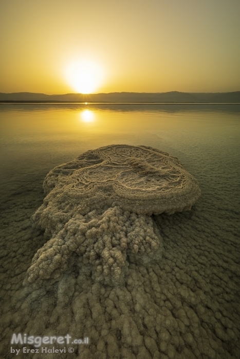 המדוזה - ים המלח